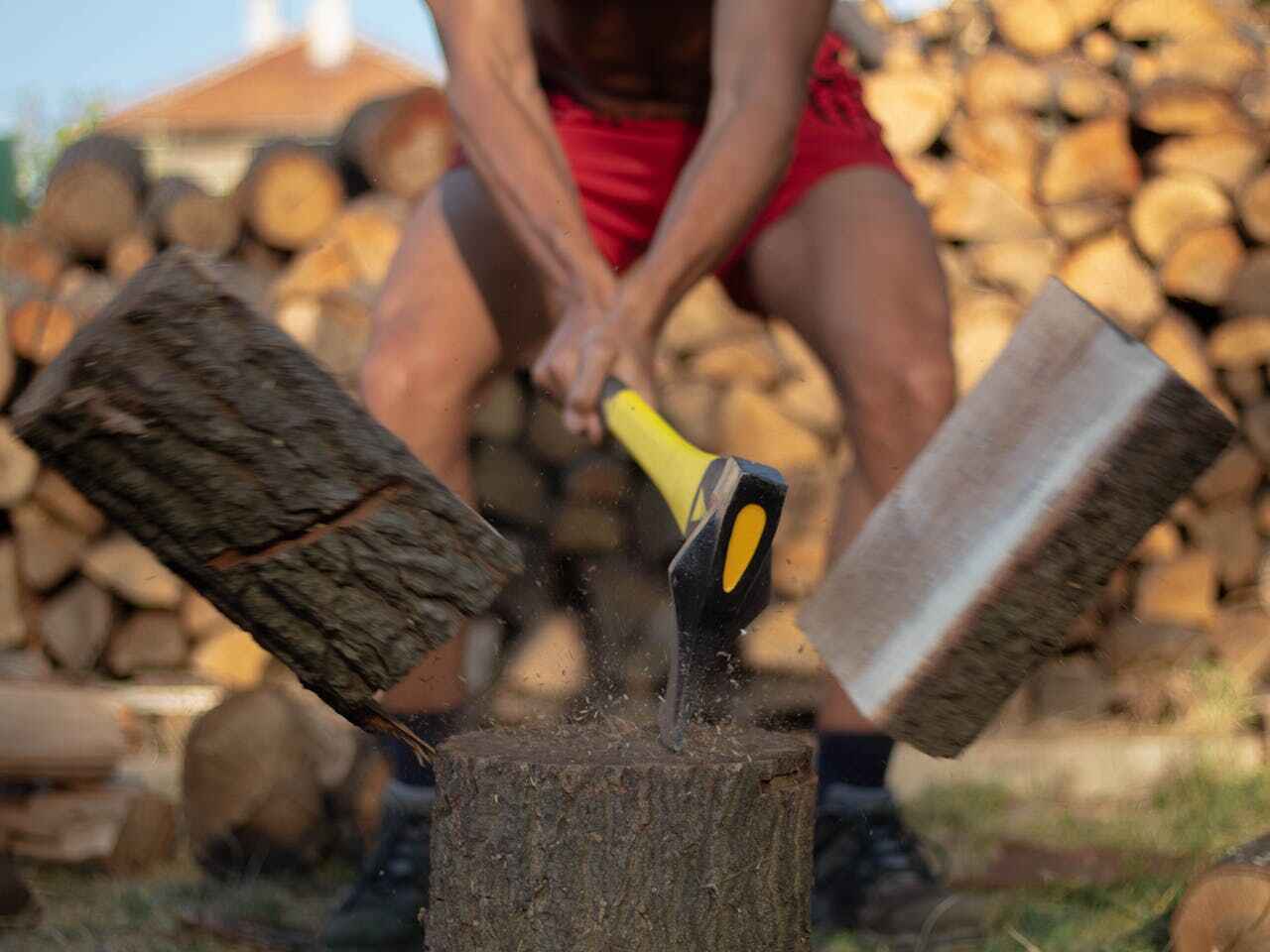 Best Tree Trimming Near Me  in Honolulu, HI